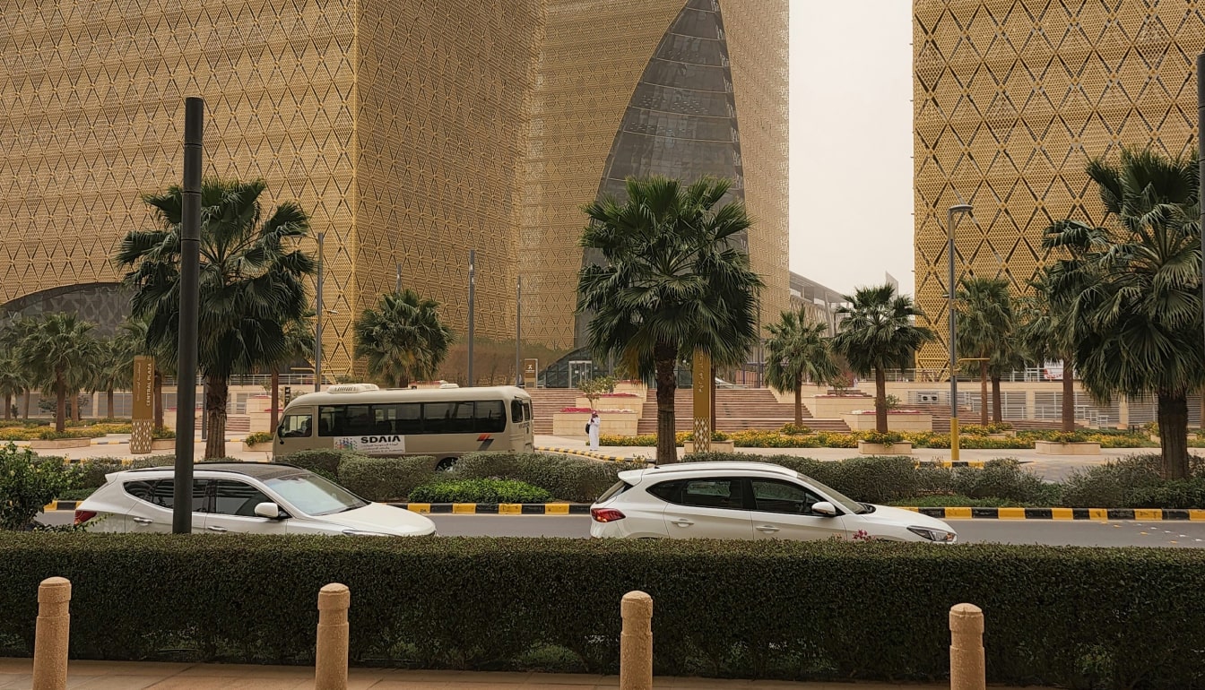 Visitors-Strategy Initiatives-Ride Hailing